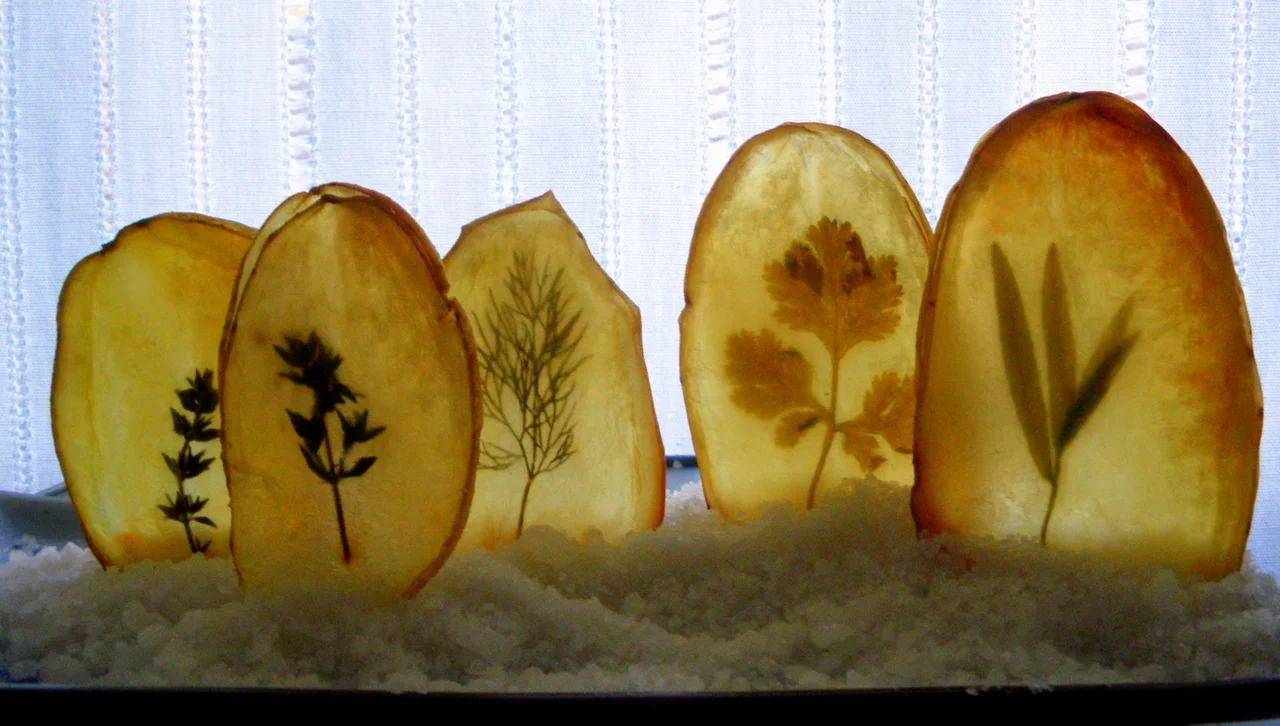 Vidrieras de Patatas